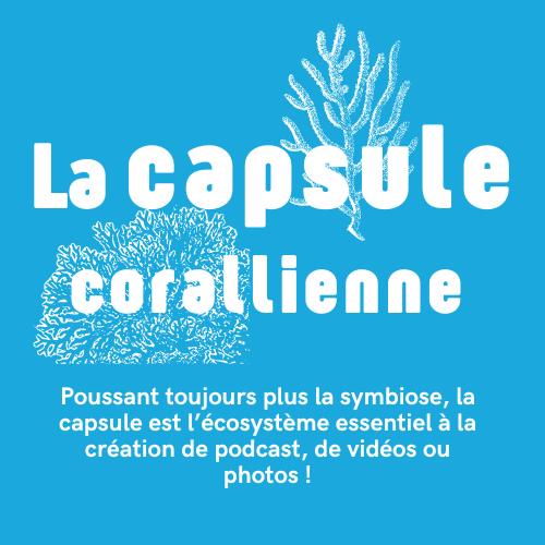 Capsule corallienne, espace de création numérique